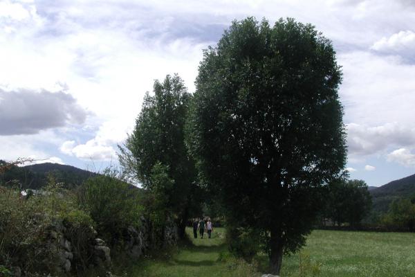 Route de la Vall de Barravés imatge