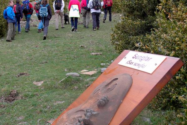 Route de la faune de Senet imatge